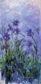 Lila Iris Claude Monet impressionistische Blumen